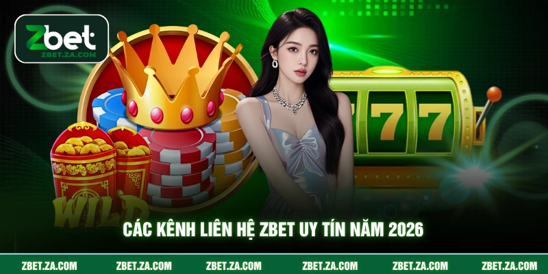 Liên Hệ ZBET Các kênh liên hệ ZBET uy tín năm 2026