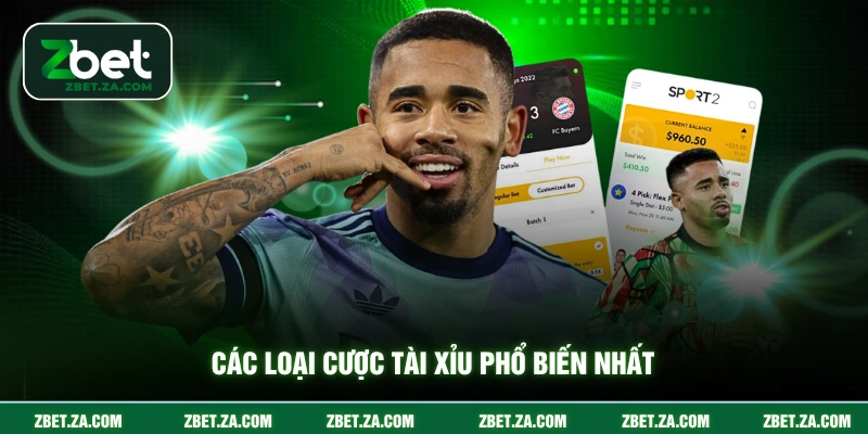 Kèo Tài Xỉu ZBET - Cẩm Nang Cược Cho Người Mới Các loại cược tài xỉu phổ biến nhất