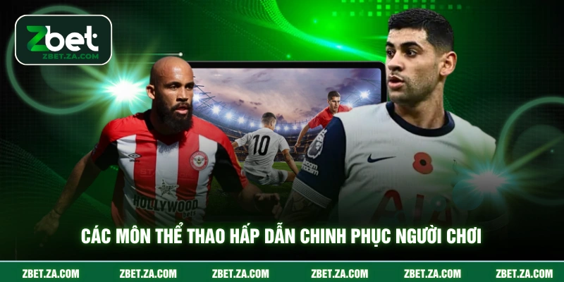 Các môn thể thao hấp dẫn chinh phục người chơi