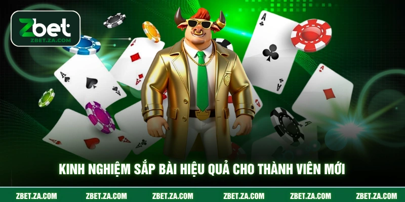 Kinh nghiệm sắp bài hiệu quả cho thành viên mới